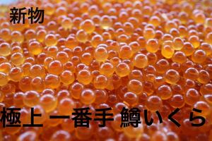 新物 極上 希少 逸品 大粒 一番手 鱒卵 鱒 いくら 500g 醤油漬け (本州送料無料)