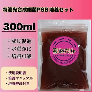 ★培養セット★特濃光合成細菌PSB300ml 喜めだか バクテリア メダカ めだか 卵 金魚 稚魚 針子 ゾウリムシ クロレラ ミジンコ 熱帯魚