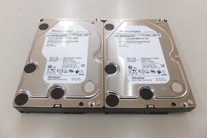 WESTERN DIGITAL WD1004FBYZ Datacenter Capacity 3.5 HDD 1TB/SATA600/128MB-Cache/7200回転 2台セット 動作画面有