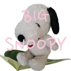 美★スヌーピー　ぬいぐるみ　SNOOPY Bigぬいぐるみ★