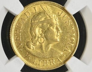 金貨 アンティーク 1904年 ペルー共和国 リーブラ NGC 鑑定保証品 コンディション 鑑定品 世界4枚 アンティークコイン ゴールド コイン