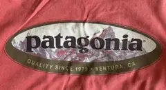 patagonia Mountain Oval Logo T-Shirt