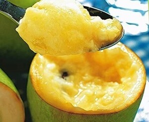 ポポー 【pawpaw】 巨大果450ｇ優良新種 ポトマックR【Potomac】 休眠枝 接ぎ木、および挿し木用の穂木 １本 ￥400スタート