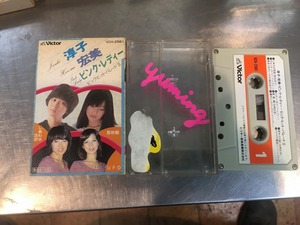 激レア 桜田淳子 岩崎宏美 ピンクレディー ビッグヒットパレードⅡ カセットテープ 1980年前後