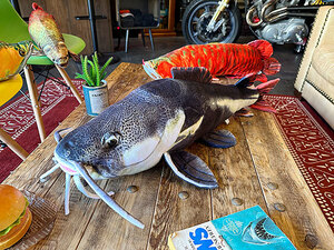 リアル熱帯魚ぬいぐるみ　レッドテールキャットフィッシュ　77cm　肉食魚 ■ アメリカン雑貨 アメリカ雑貨