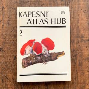 チェコの古いキノコ図鑑(KAPESNI ATLAS HUB 2 1987年)/アンティーク ヴィンテージ ヨーロッパ 洋書 キノコのイラスト キノコの絵 雰囲気◎/