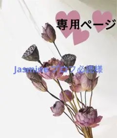 Jasmine プロフ必読様専用ページ