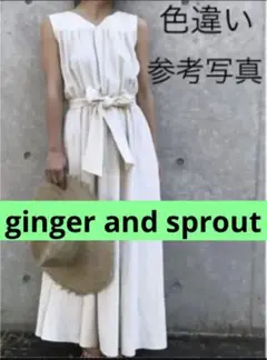 SALE❤️廃盤ginger and sprout 春夏向きロングワンピース