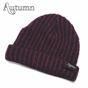 ☆AUTUMN [FREEサイズ] ATS20 CHUNKY BEANIE NAVY カラー:NAVY ビーニー ニット帽 キャップ スノーボード スノボ スキー