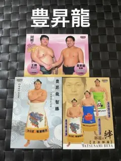 豊昇龍　智勝　3枚セット　大相撲カード　BBM