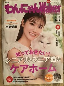 生見愛瑠　めるる　★わんにゃんWalker わんにゃんウォーカー　2022／6・７月号(全28ページ) ★A4サイズ　★新品・非売品