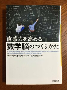 直感力を高める 数学脳のつくりかた