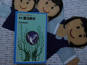 岩波ジュニア新書NO.228 新版　憲法読本　杉原泰雄　　日本国憲法　改憲議論　自衛隊海外派遣