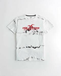 新品★正規品★XLサイズ！★ホリスターHOLLISTER★クルーネック★ Wash Effect Print Logo Graphic Tee ★ホワイト