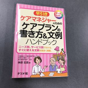 ケアマネジャー ケアプラン　書き方　文例　ハンドブック　早引き　