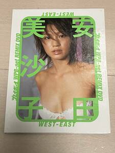 盤面綺麗　安田美沙子 プレイボーイ WPB-net REMIX DVD WEST-EAST 国内正規品 集英社