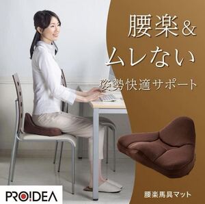 プロイデア 腰楽 馬具マット 未使用品 ⑥