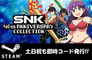 ★Steamコード・キー】SNK 40th Anniversary Collection 日本語対応 PCゲーム 土日祝も対応!!