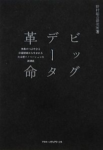 ビッグデータ革命無数のつぶやきと位置情報から生まれる日本型イノベーションの新潮流/野村総合研究所■17036-30389-YY21