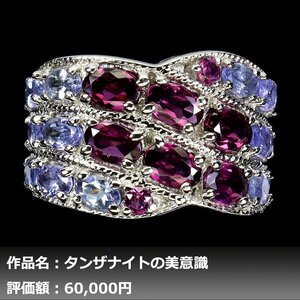 【1円新品】イケゾエガレ｜8.00ct 天然ガーネット&タンザナイト K14WG仕上リング 18.5号｜作家モノ｜本物保証｜日宝協鑑別対応