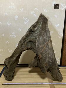 【崩れあり】 特大天然流木 重さ約13.5kg 全長約72cm 徳島県吉野川【素人実寸】 オブジェ インテリア 置物 天然 自然木 飾り木