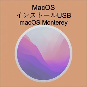 (v12) macOS Montereyインストール用USB [2]