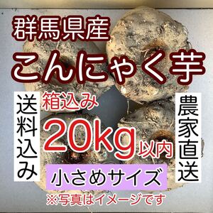 【群馬県産】こんにゃく芋　箱込み20kg以内　手作りこんにゃく用【小さめサイズ】