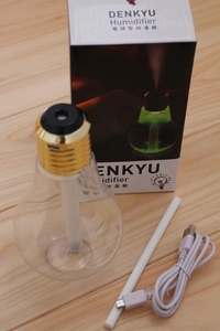 ★100円スタート★新品画期的な電球型卓上加湿器ＤＥＮＫＹＵ 癒し系インテリア サスティナブル SDGsアートオブジェデンキュウフェリシモ