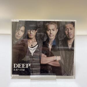 未来への扉 CD DEEP single シングル