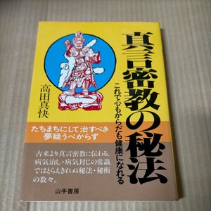 真言密教の秘法 これで心もからだも健康になれる 高田真快 山手書房△古本/経年劣化による傷み有