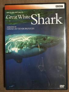 【 送料無料！!・盤面良品！・再生保証付！】★Great White Shark◇1995年/イギリスBBCドキュメント100シリーズ/本編50分★ 