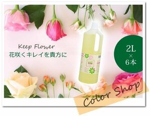 送料無料 切り花を長持ちさせる！切花栄養剤 【 キープ・フラワー 】2L×6本　/栄養補給 延命剤 腐敗防止