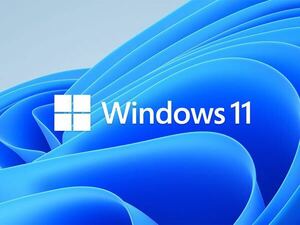 ☆最新 Microsoft Windows 11 Pro 64bit DSP版 DVD 日本語 1台分