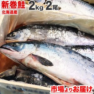 新巻鮭 北海道産 2kg 2尾 塩漬け 塩鮭 塩引き鮭 鮭 新巻 秋鮭 しゃけ サケ さけ 産地直送 辛い鮭 しょっぱい鮭 中元 お中元 御中元 お盆