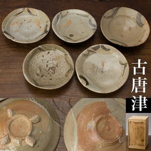 【千e761】古唐津 皿 ５個 桃山－江戸初期　　呼継 発掘 絵唐津 唐津 向付