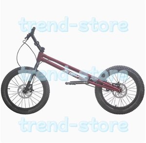 24インチ スタント用自転車 BMX 自転車 大人用 フロントおよびリアブレーキ付き Crmoフレームとフォーク パープル