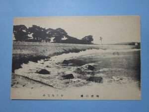 b1725和歌山県和歌の浦かたをなみ絵葉書