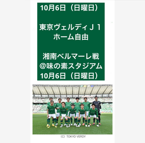 【東京ヴェルディ対湘南ベルマーレ】Jリーグ　味の素スタジアム チケット ホーム 大人　サポーター緑の心臓 送料無料 匿名配送 新品