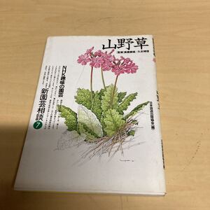 NHK趣味の園芸 山野草