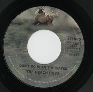 【ロック 7インチ】The Beach Boys - Come Go With Me / Don