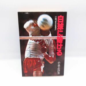 白球に賭ける 小説「全日本男子」 バレーボール 新しい金メダルをめざす青春群像 小泉志津男 本 即決/B5