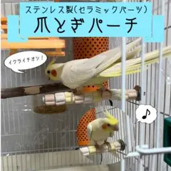 《17cm×2cm》鳥 サンド 爪とぎ セラミックパーチ 止まり木