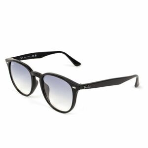 1円スタート Ray-Ban RB4259 601 19 53 BLACK/サングラス/夏/ローブリッジ/アウトドア/釣り/ドライブ/ウェリントン/メガネ/眼鏡/海/川/山