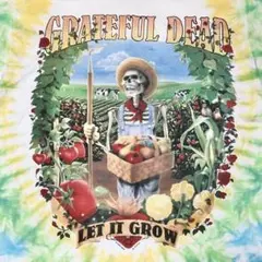 90s GRATEFUL DEAD ビンテージ Tシャツ　L デッド　USA