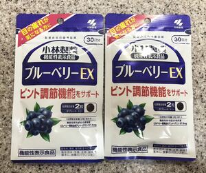 [送料無料] 小林製薬 ブルーベリー EX 30日分 60粒 ×2袋 賞味期限2024.8.30以降 [即決]