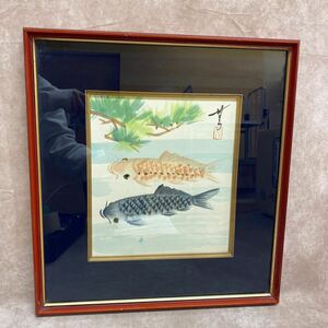 色紙 鯉 コイ 水彩画 む門 名入り 松の木 壁飾り 和風 インテリア 額装 日本画 魚 45×40cm こい