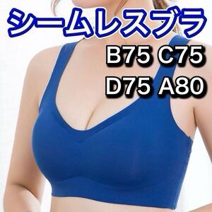 ノンワイヤー シームレス ブラジャー ブルー 青 XL LL ナイトブラ シームレスブラ スポーツブラ B75 C75 D75 A80 マタニティブラ 75c 75d