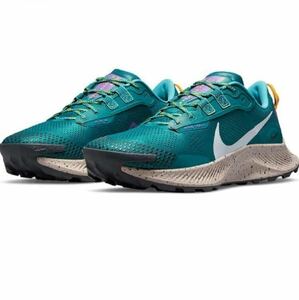 NIKE Pegasus Trail 3 ナイキ ペガサス トレイル 3 DA8697-300 トレラン シューズ　トレイル　ランニング　28cm US10 EU44