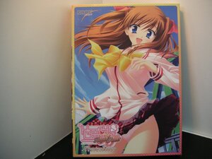 ア　ハニーカミング ロイヤルスイート　DVD-ROM（アダルト）　HOOKSOFT　中古