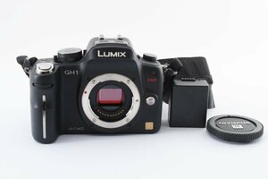 ADS3892★ 実用美品 ★ パナソニック PANASONIC LUMIX DMC-GH1 ボディ